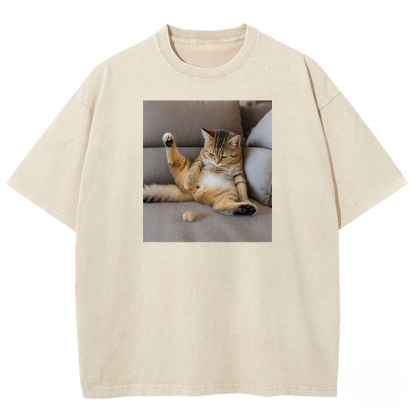 The Lost Testicles Washed T-shirt