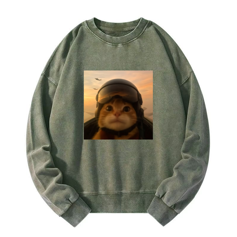 Funny Cat Washed Sweatshirt