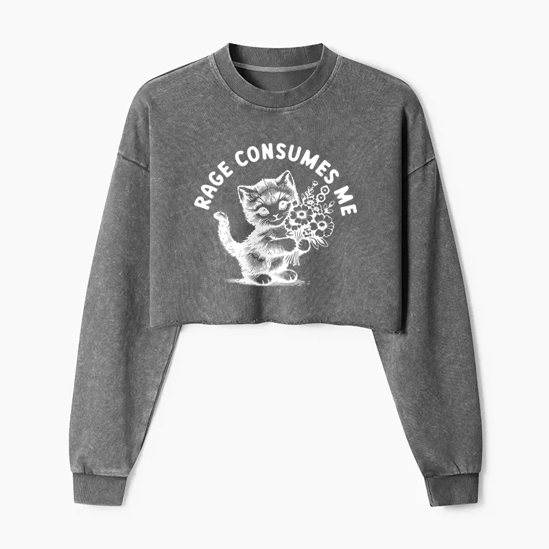 Rage Consumes Me Washed Crop Sweatshirt
