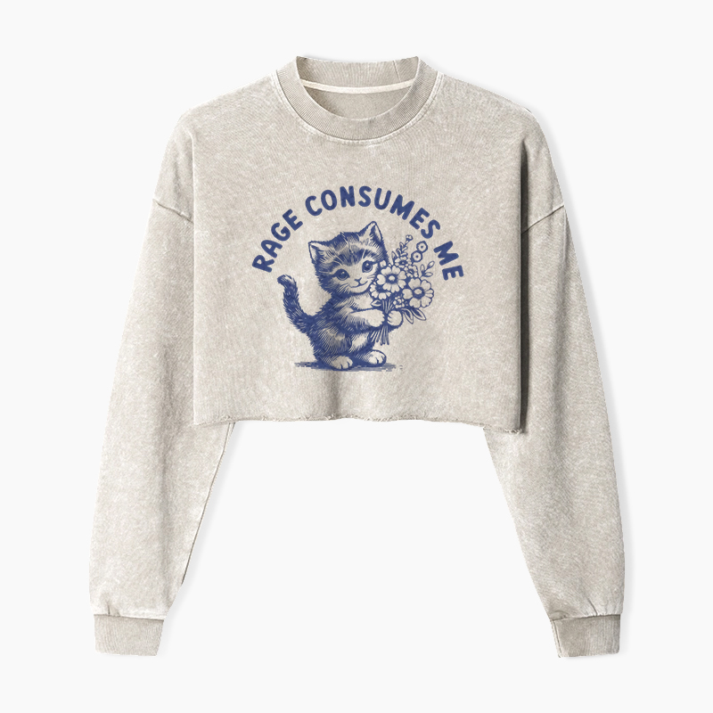 Rage Consumes Me Washed Crop Sweatshirt