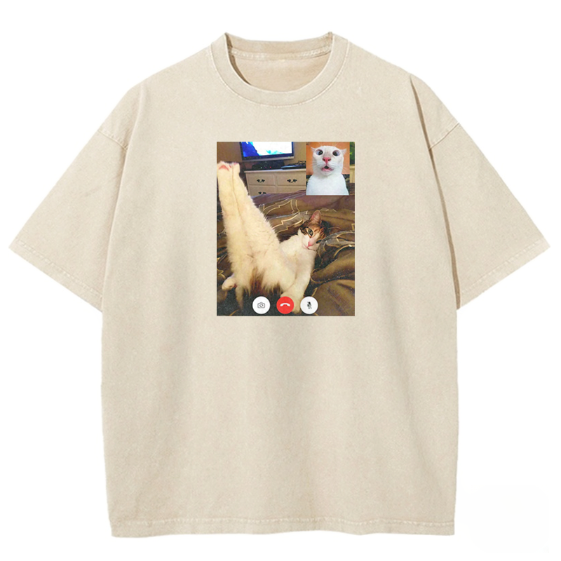 Chaotic Cat Pose Washed T-shirt
