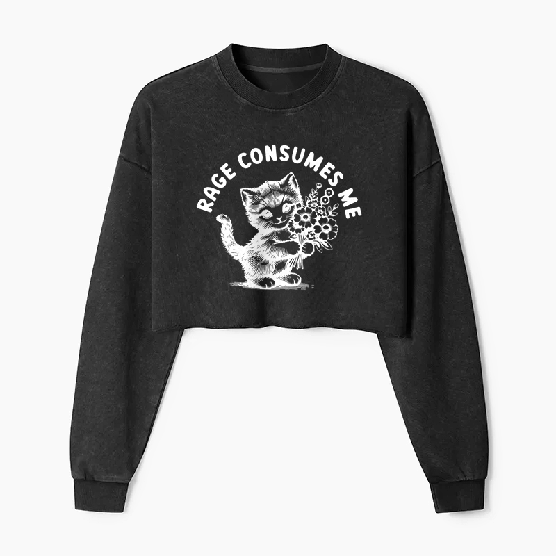 Rage Consumes Me Washed Crop Sweatshirt