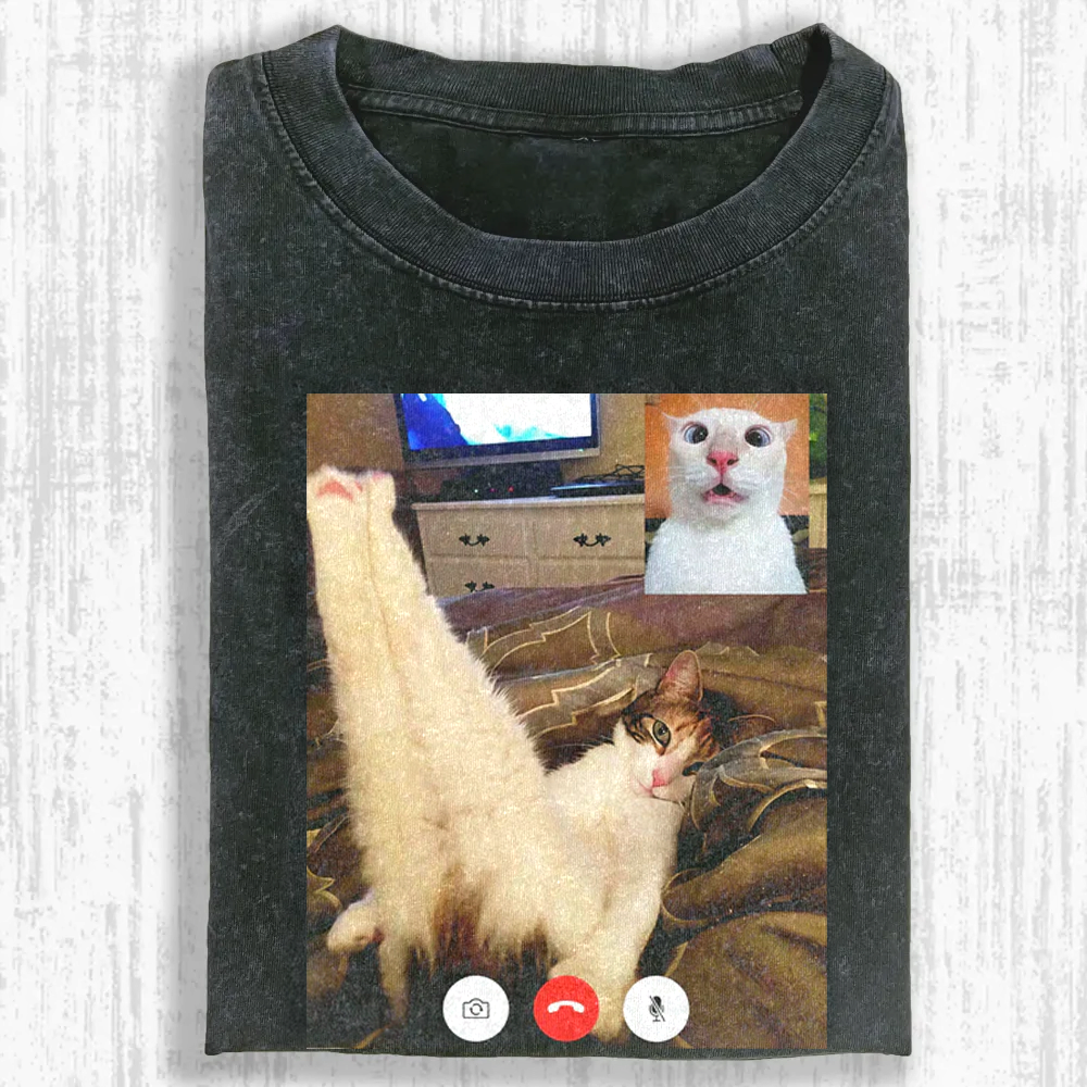 Chaotic Cat Pose Washed T-shirt