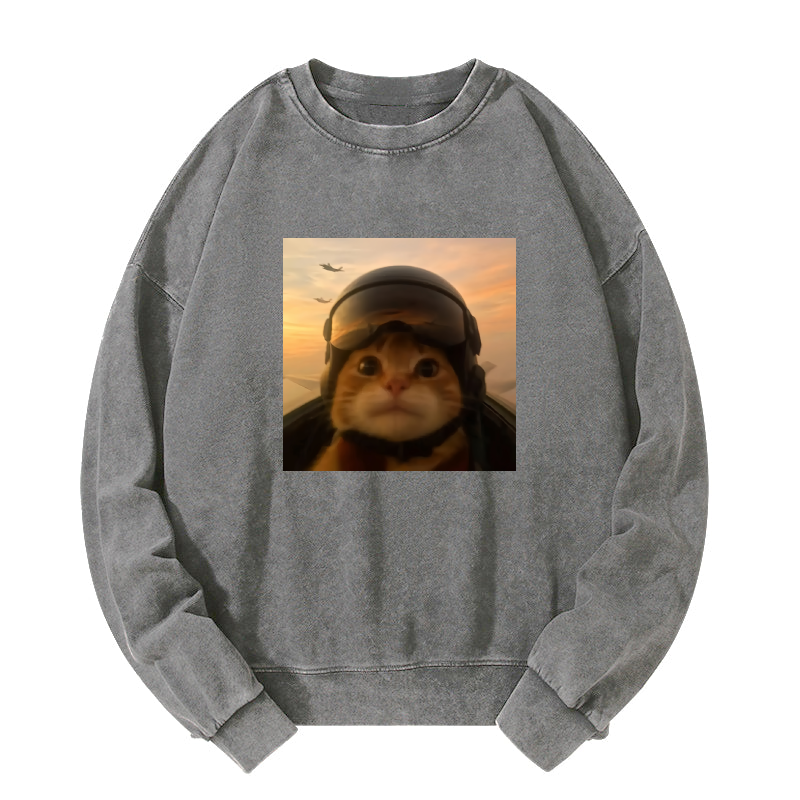 Funny Cat Washed Sweatshirt
