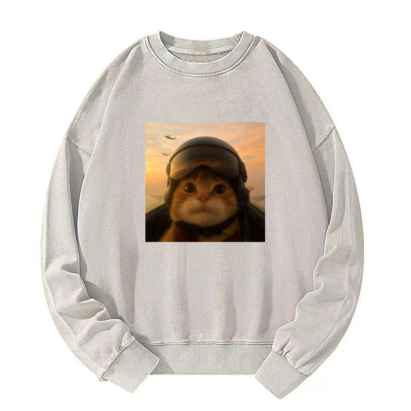 Funny Cat Washed Sweatshirt