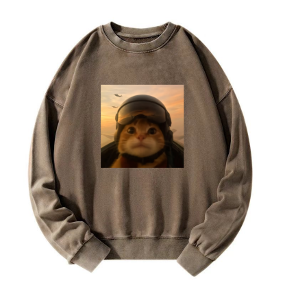Funny Cat Washed Sweatshirt