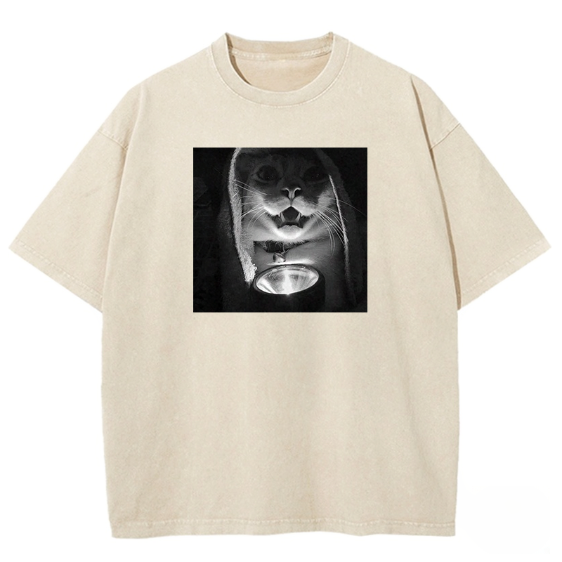 Mystery Lantern Cat Washed T-shirt