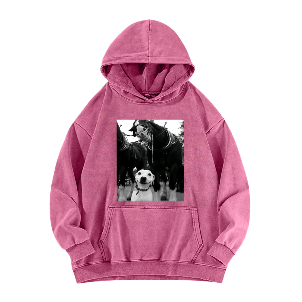 Funny dog and horses Washed Hoodie