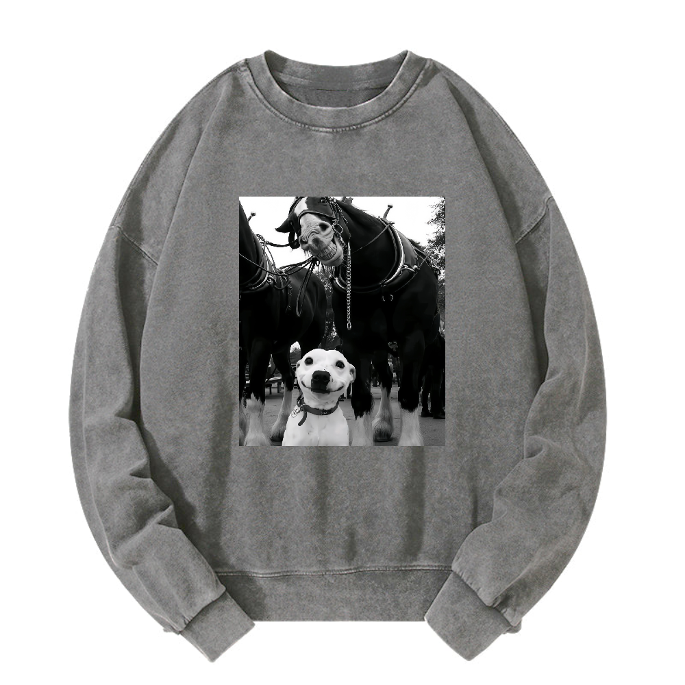 Funny dog and horses Washed Sweatshirt