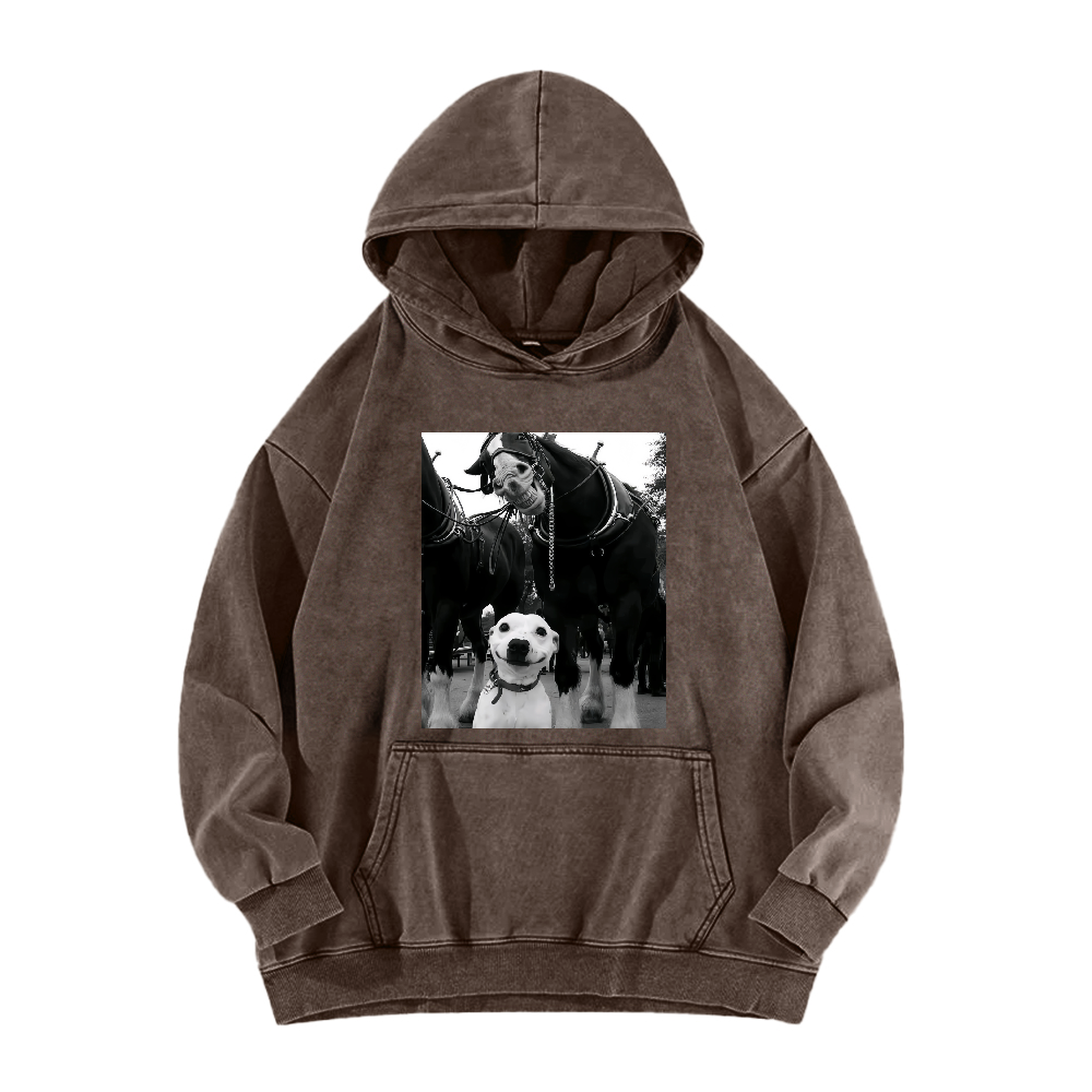 Funny dog and horses Washed Hoodie