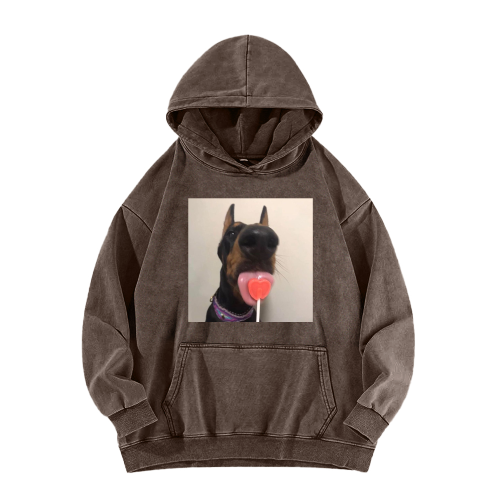 Candy dog Washed Hoodie