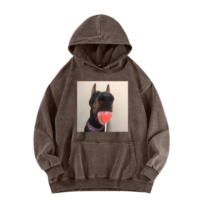Candy dog Washed Hoodie
