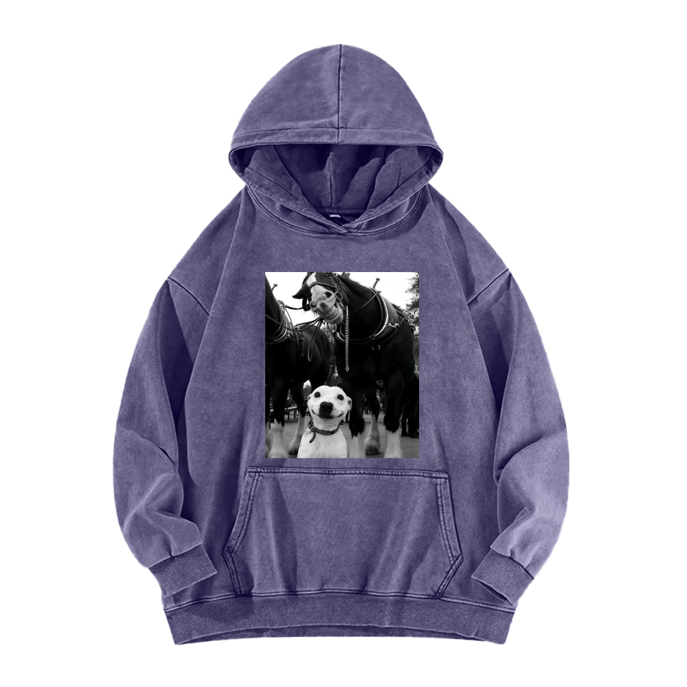 Funny dog and horses Washed Hoodie