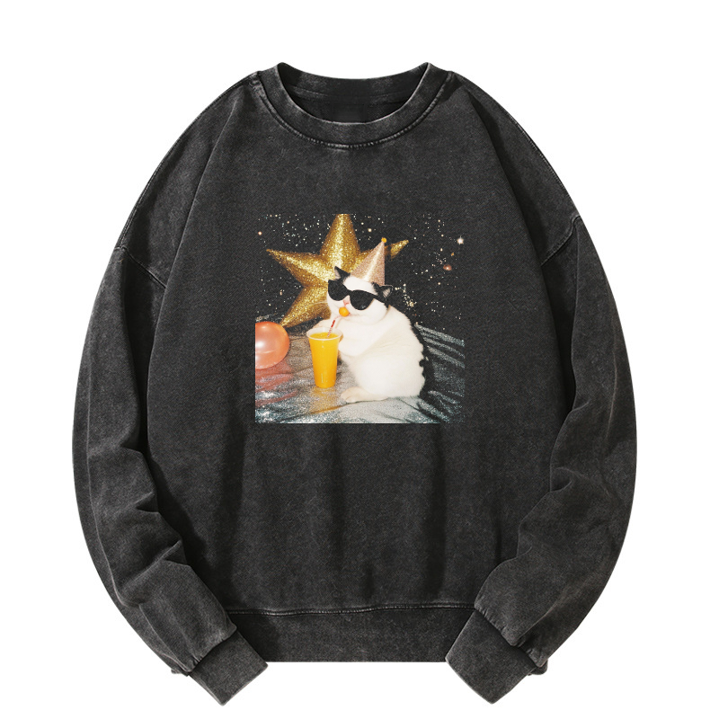 Wacky Cat Washed Sweatshirt