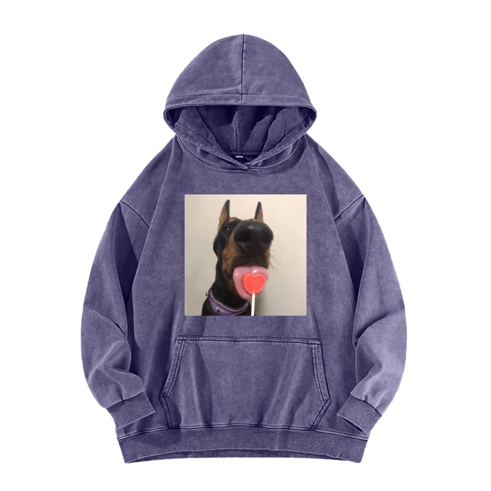 Candy dog Washed Hoodie