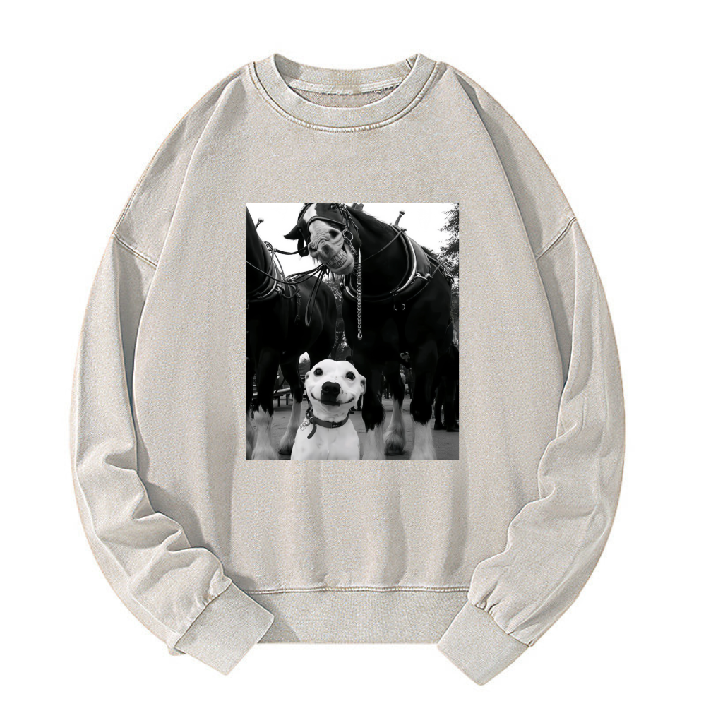 Funny dog and horses Washed Sweatshirt