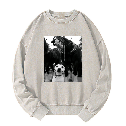Funny dog and horses Washed Sweatshirt