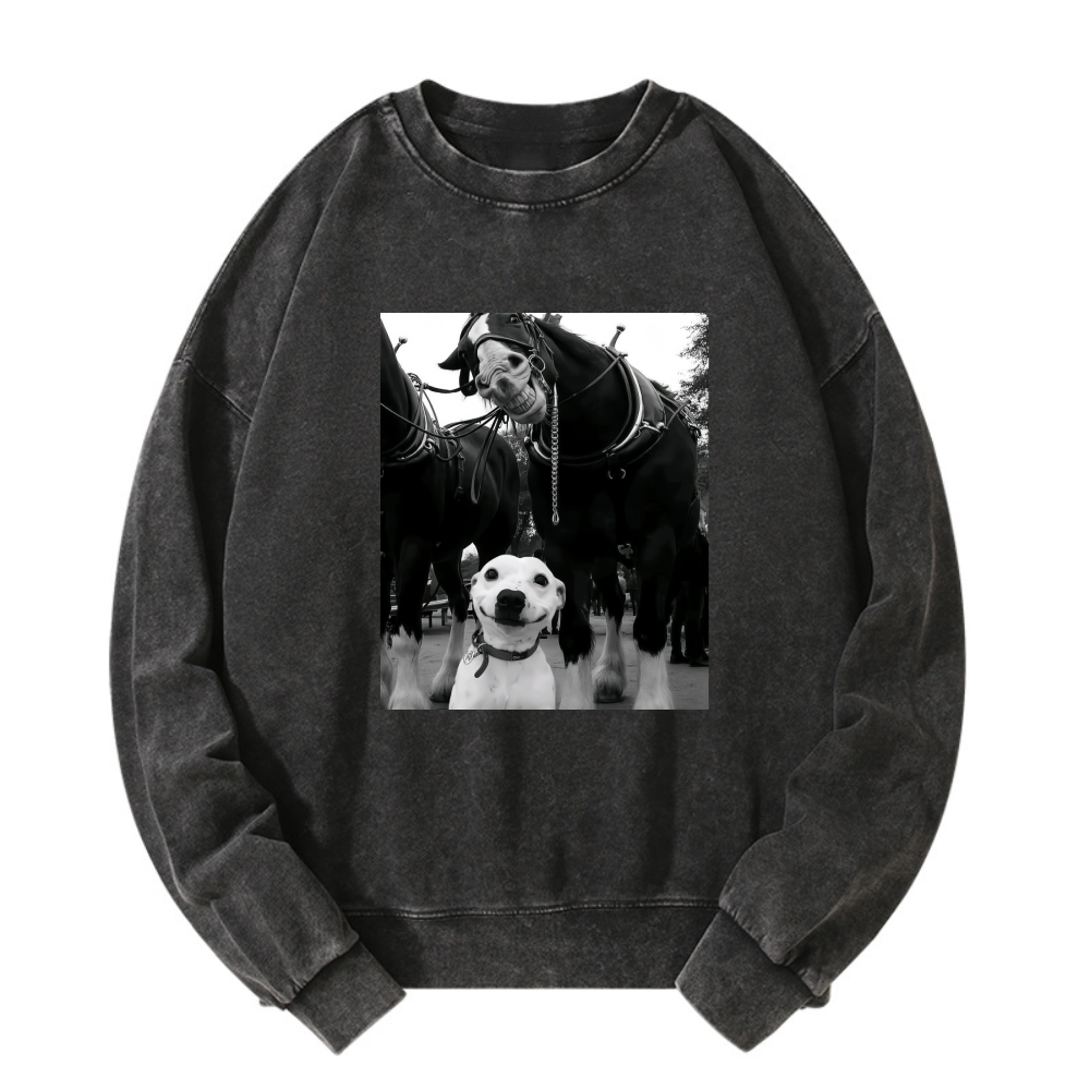 Funny dog and horses Washed Sweatshirt