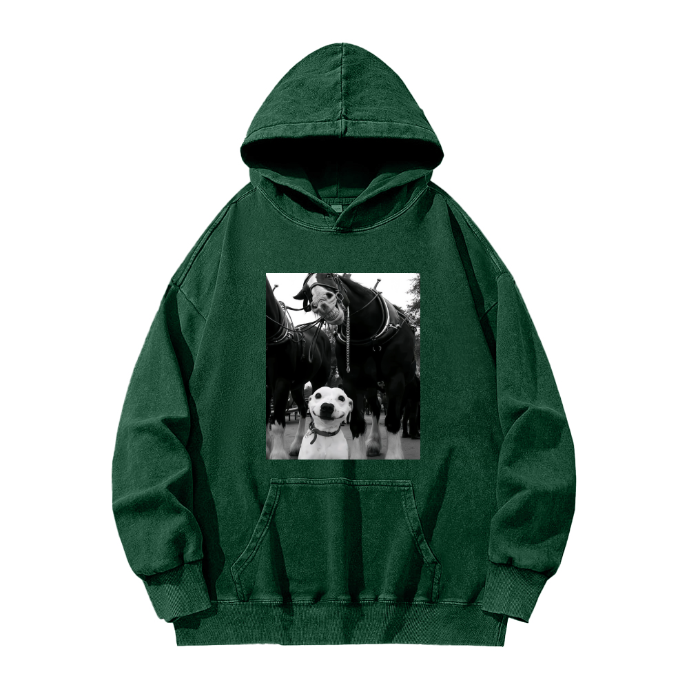 Funny dog and horses Washed Hoodie