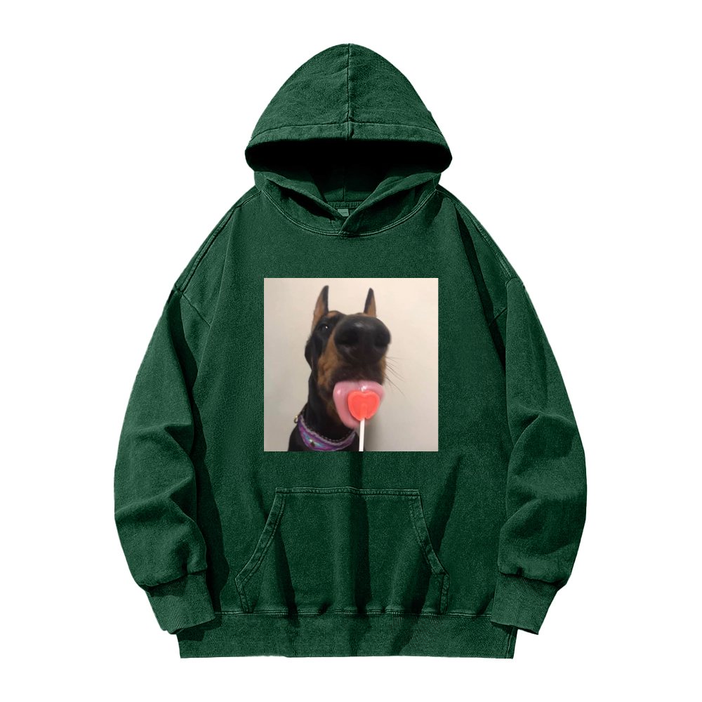 Candy dog Washed Hoodie