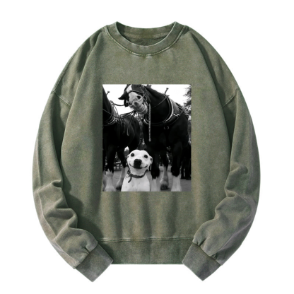 Funny dog and horses Washed Sweatshirt