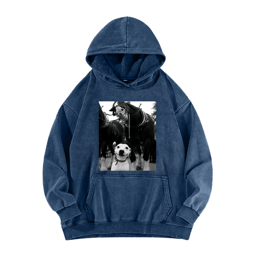 Funny dog and horses Washed Hoodie