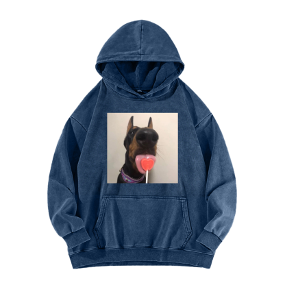Candy dog Washed Hoodie