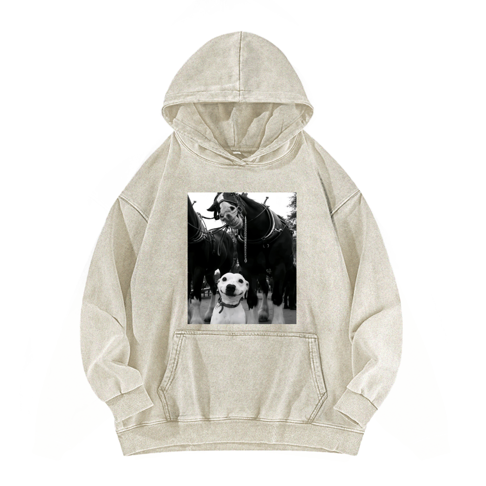 Funny dog and horses Washed Hoodie