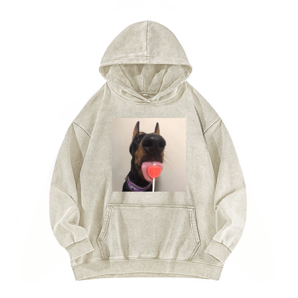 Candy dog Washed Hoodie