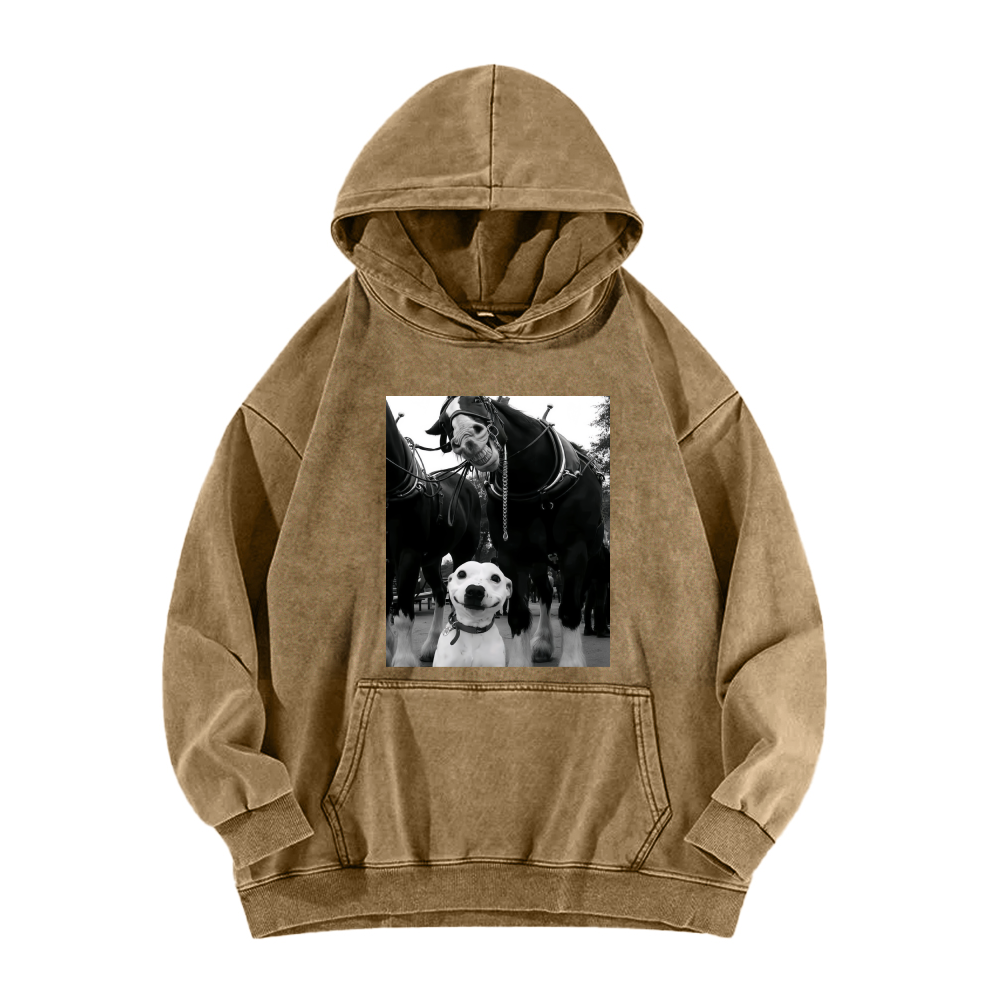 Funny dog and horses Washed Hoodie