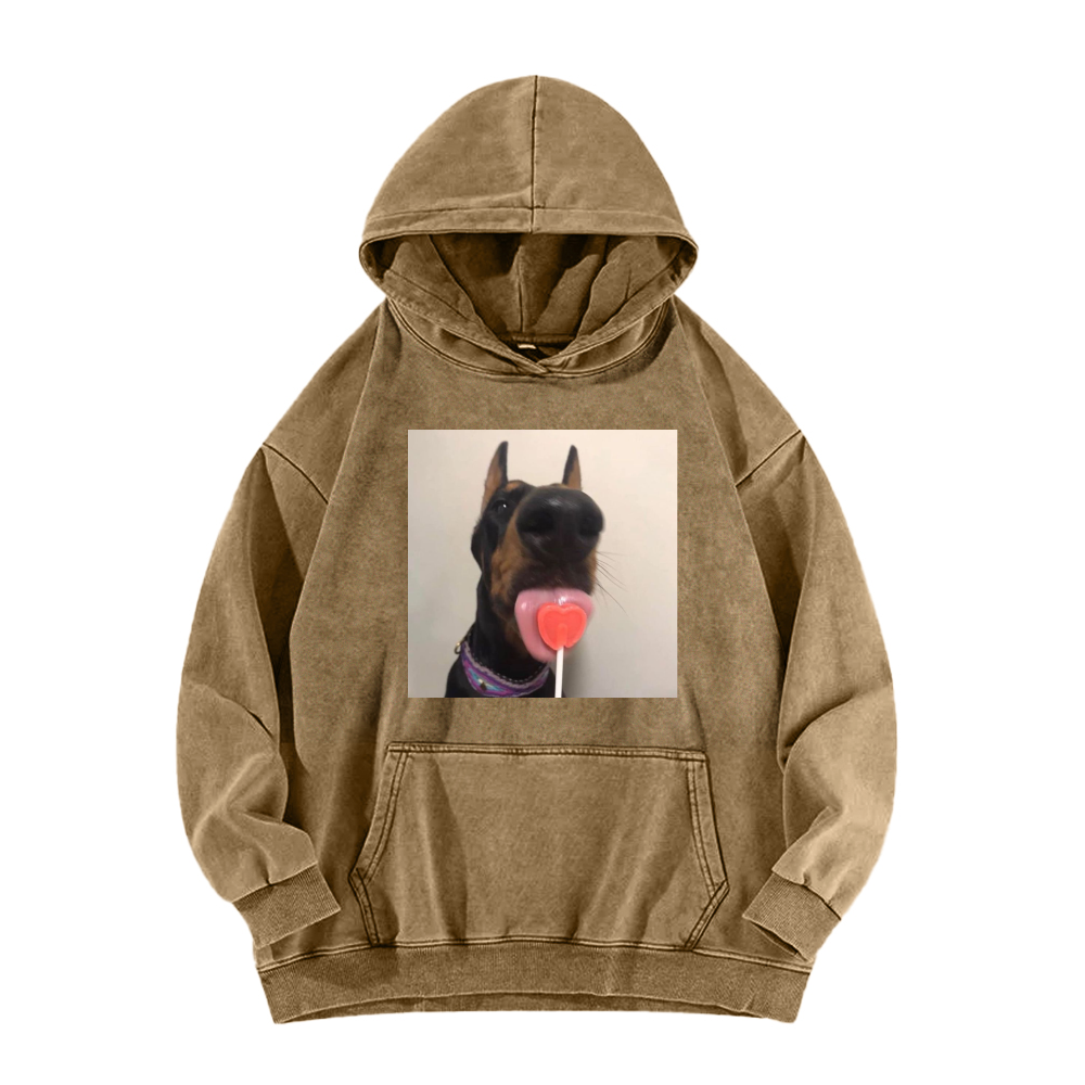 Candy dog Washed Hoodie