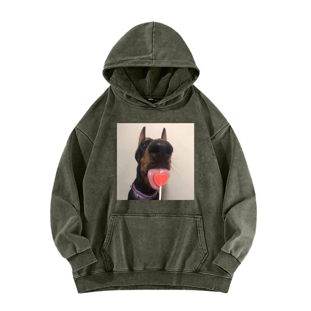 Candy dog Washed Hoodie