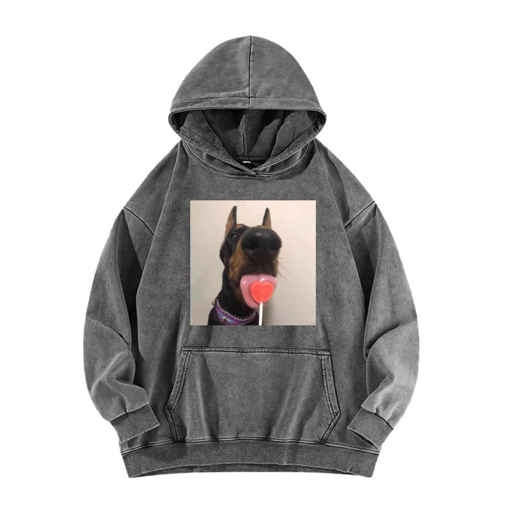 Candy dog Washed Hoodie