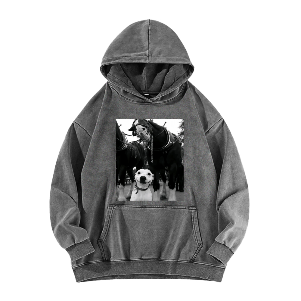Funny dog and horses Washed Hoodie
