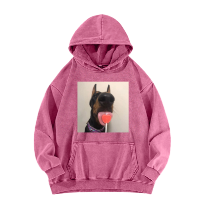 Candy dog Washed Hoodie