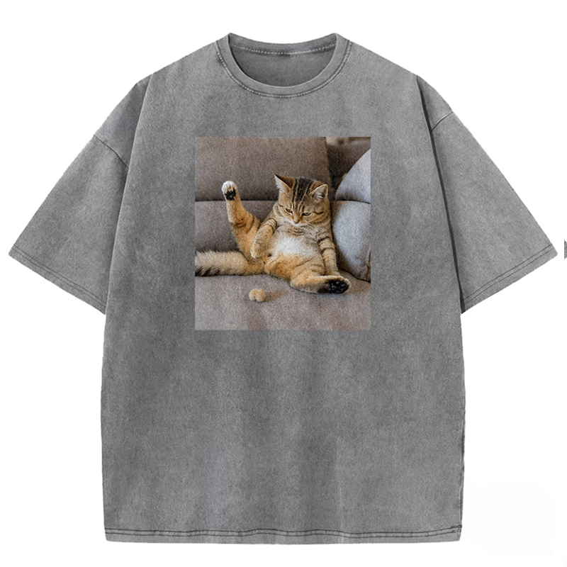 The Lost Testicles Washed T-shirt