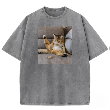 The Lost Testicles Washed T-shirt