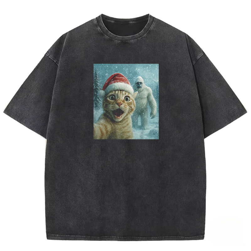 Holiday Feline Encounter Washed T-shirt