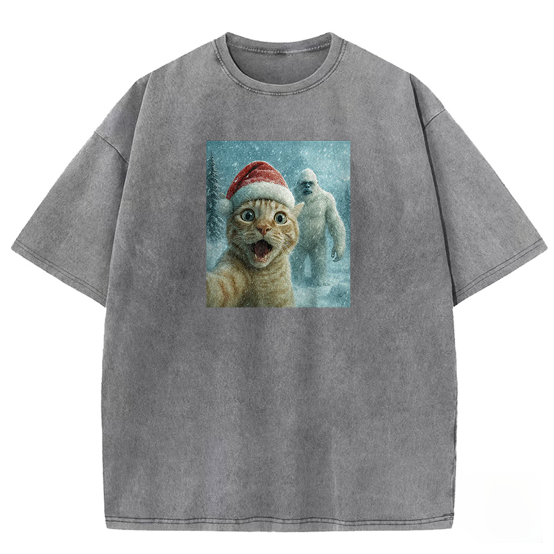 Holiday Feline Encounter Washed T-shirt