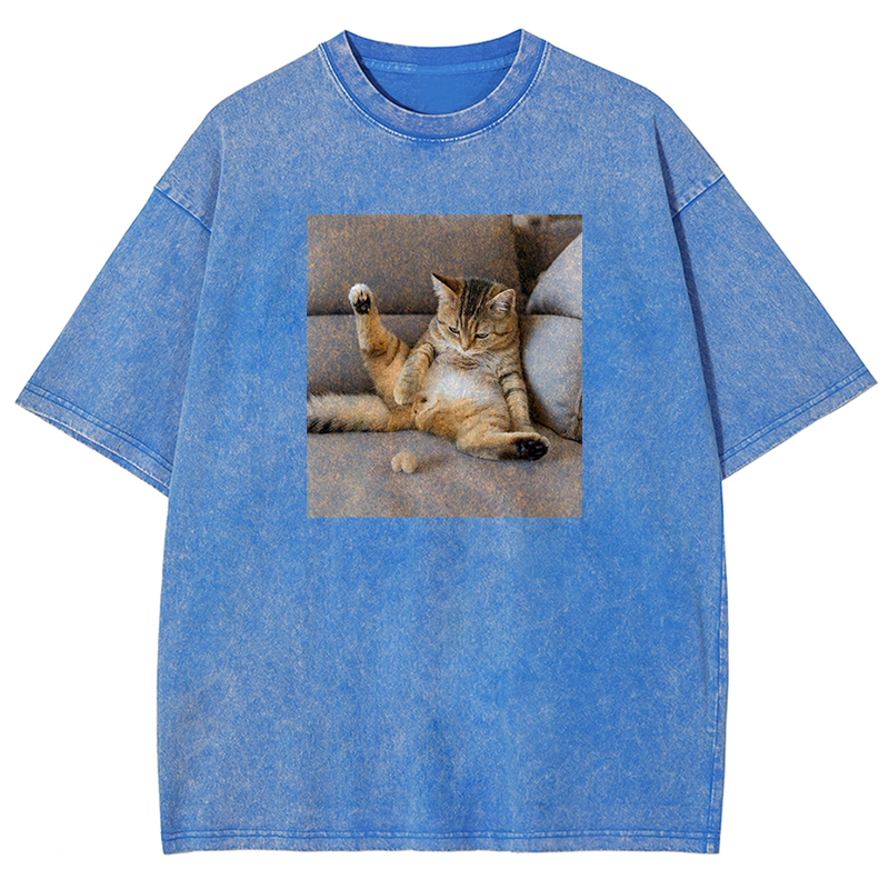 The Lost Testicles Washed T-shirt