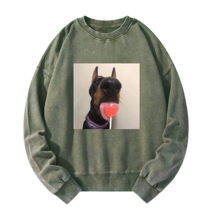Candy dog Washed Sweatshirt