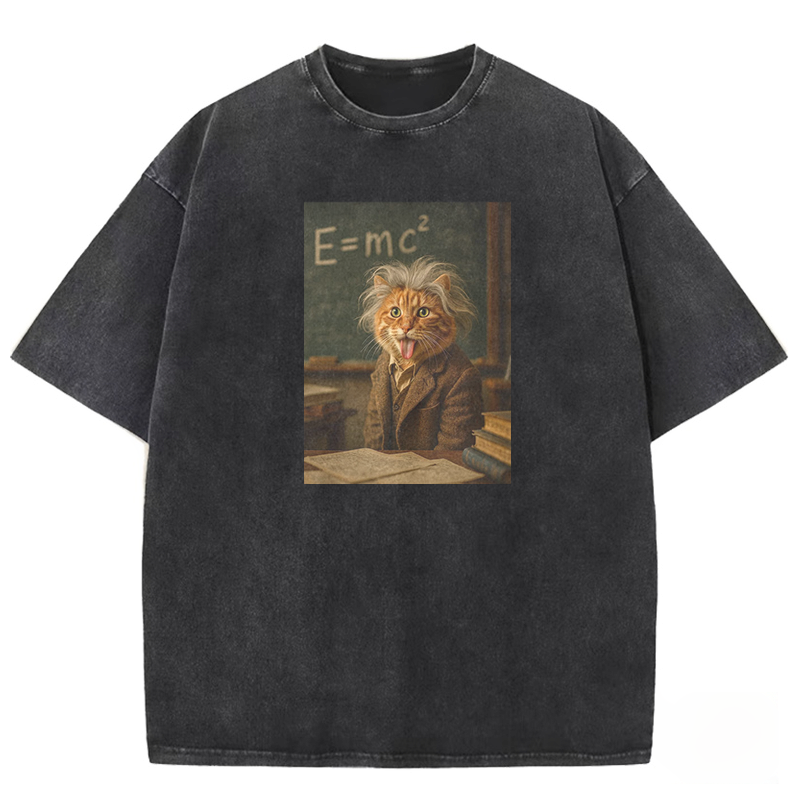 Frizzy Genius Washed T-shirt