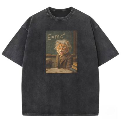 Frizzy Genius Washed T-shirt