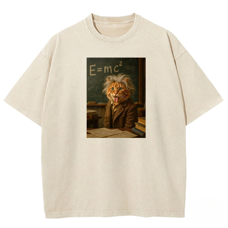 Frizzy Genius Washed T-shirt