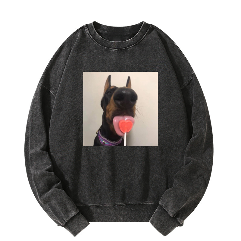 Candy dog Washed Sweatshirt