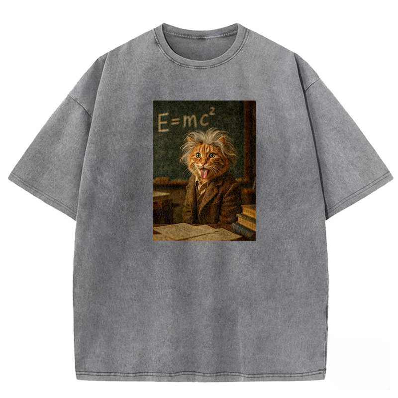 Frizzy Genius Washed T-shirt