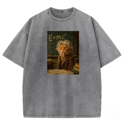 Frizzy Genius Washed T-shirt