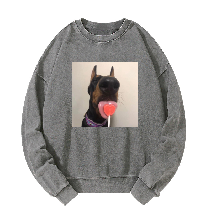 Candy dog Washed Sweatshirt
