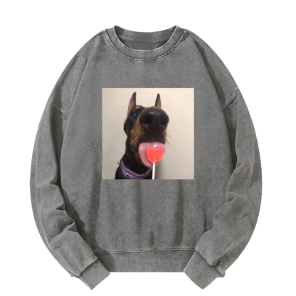 Candy dog Washed Sweatshirt