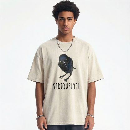 Raven's Question Washed T-shirt